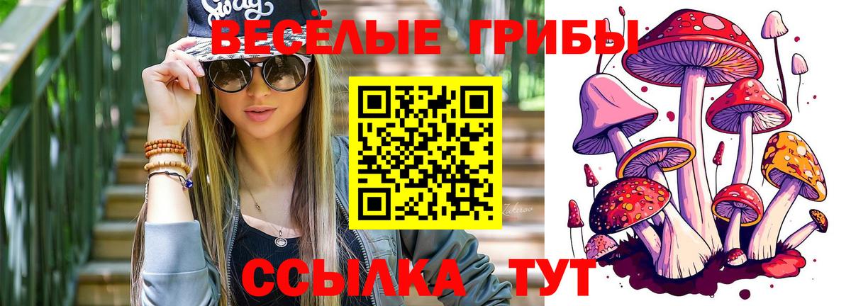 Галлюциногенные грибы Psilocybe  Вход с VPN  Псилоцибиновые грибы мицелий  Переславль-Залесский 