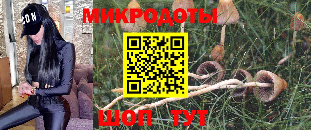 Галлюциногенные грибы Magic Shrooms Переславль-Залесский